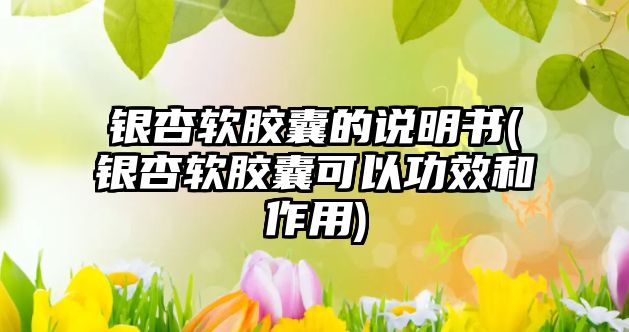 銀杏軟膠囊的說(shuō)明書(shū)(銀杏軟膠囊可以功效和作用)