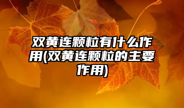 雙黃連顆粒有什么作用(雙黃連顆粒的主要作用)