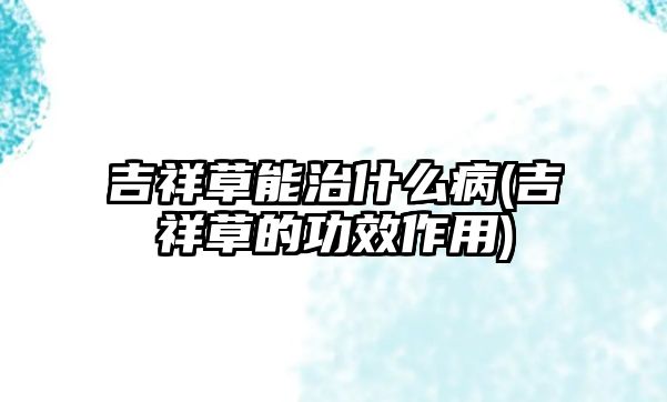 吉祥草能治什么病(吉祥草的功效作用)